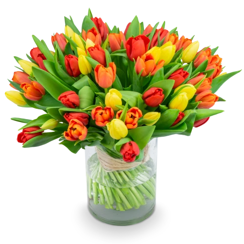 Kytice  tulipánů